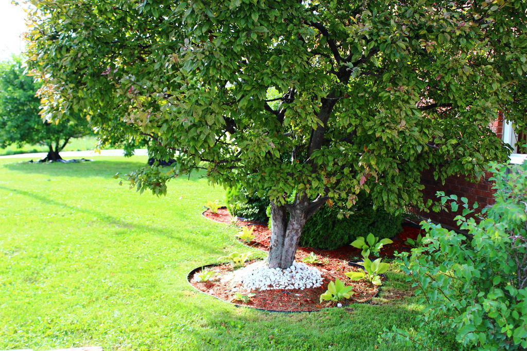 Hawberry Little Current